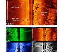 Sondes Imagerie