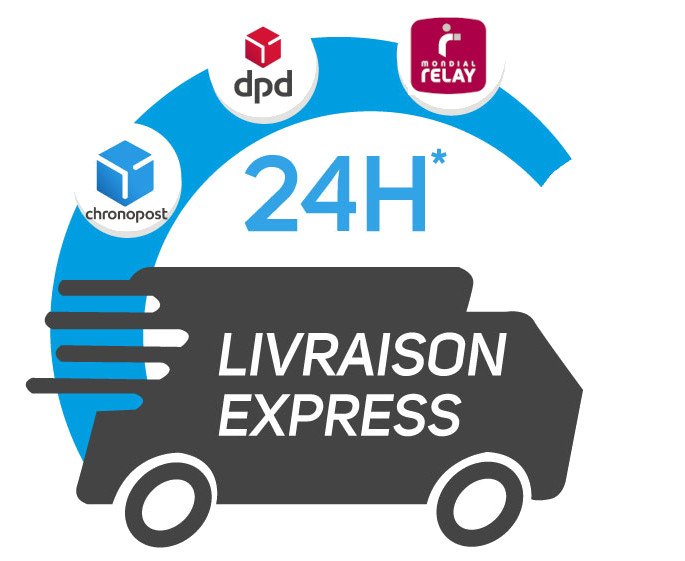 logo livraison chronopost MR DPD 24h