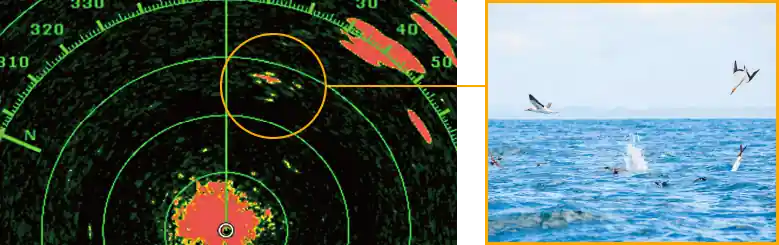 Radar Furuno Bird Mode affichage oiseaux