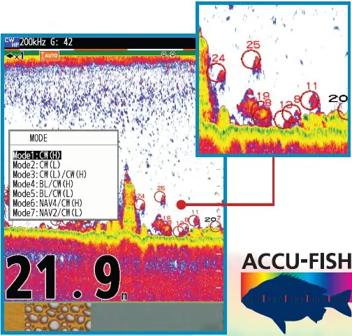 Fonction Accu-Fish du sondeur Furuno FCV-600 indiquant la taille estimée des poissons