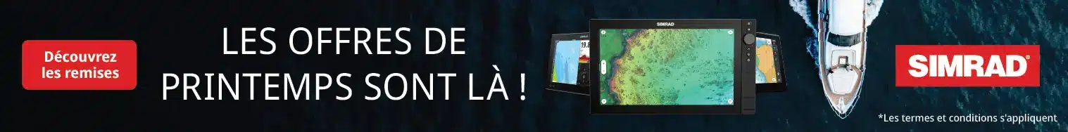 Promotions Printemps EMEA