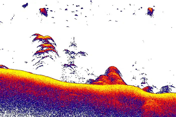 Vue sondeur CHIRP Lowrance Eagle 9 : détection haute résolution des poissons en colonne d'eau