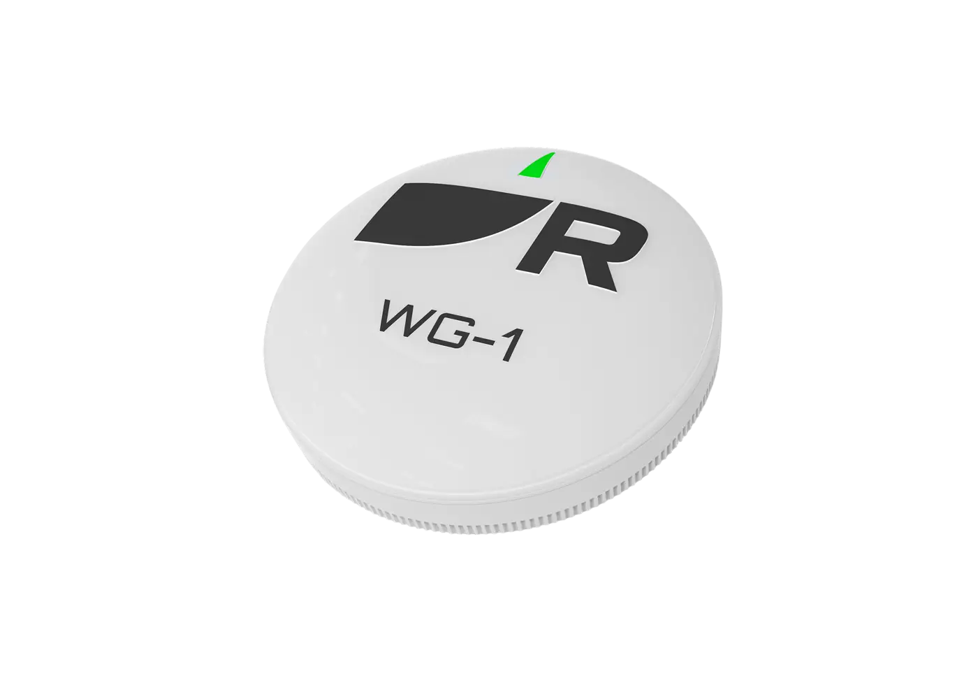 Module Bluetooth WG-1 Raymarine pour télécommande RCU-1