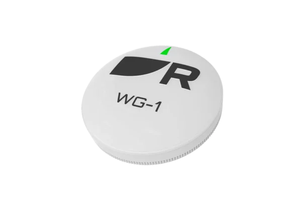 R70794_Raymarine_WG1_Wireless_Gateway R70794_Raymarine_WG1_Wireless_Gateway